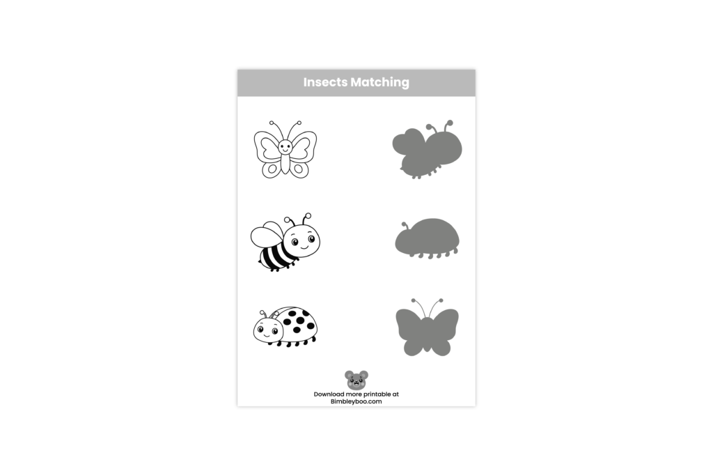 Insects matching worksheet for kids with butterfly, bee, and ladybug shadow match activity