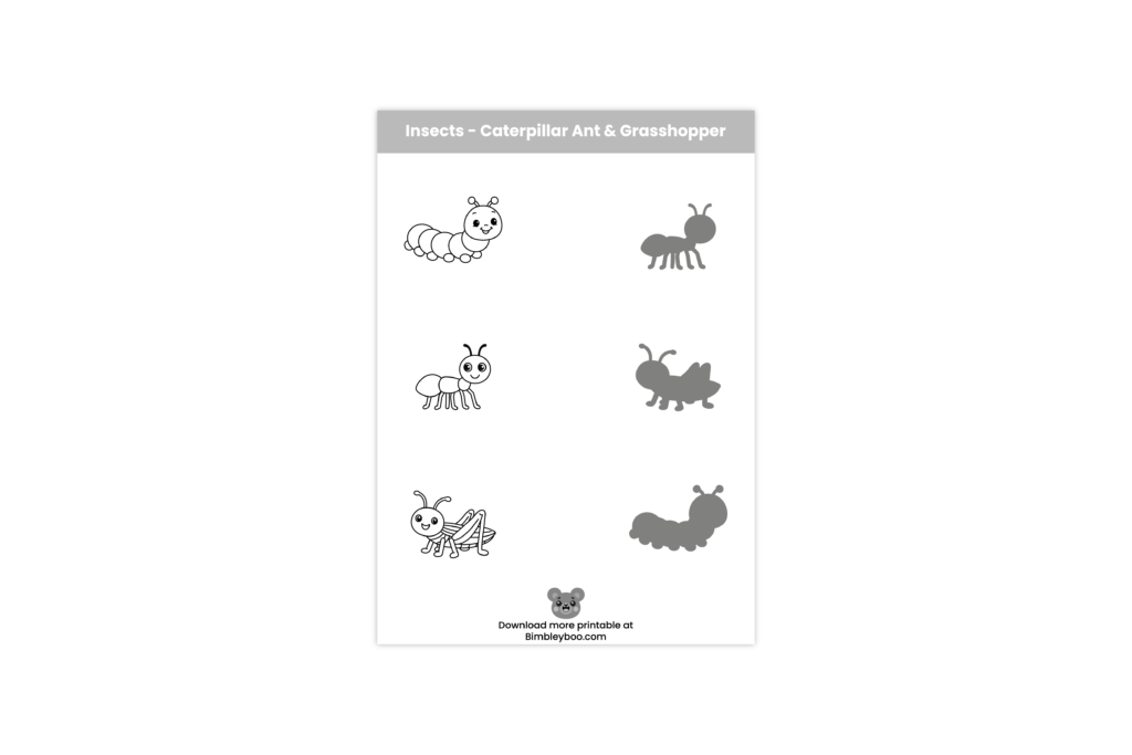 Insects shadow matching worksheet for kids featuring caterpillar ant and grasshopper